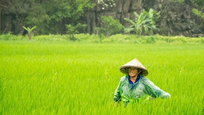 无极荣耀4平台 从A到B: Agritech加